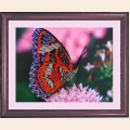 Набор для вышивания бисером BUTTERFLY "Бабочка" Набор для вышивания бисером BUTTERFLY "Бабочка"