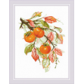 Набор для вышивания нитками РИОЛИС "Солнечная хурма"