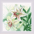 Набор для вышивания нитками РИОЛИС "Белые лилии"