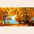 Набор алмазной вышивки ANYA "Осенняя аллея"