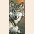Алмазная мозаика ПАУТИНКА "Волк"
