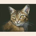 Алмазная мозаика ПАУТИНКА "Абиссинская кошка"