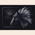 Набор для вышивания нитками PANNA "Лунный конь"