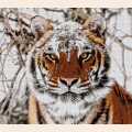 Набор для вышивания бисером А.ТОКАРЕВА "Сибирский тигр"