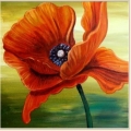 Алмазная вышивка камнями АЛМАЗНАЯ ЖИВОПИСЬ «Красный мак» 