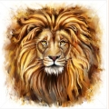 Алмазная вышивка камнями АЛМАЗНАЯ ЖИВОПИСЬ «Лев» 