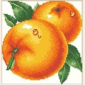 Алмазная вышивка камнями АЛМАЗНАЯ ЖИВОПИСЬ «Цитрусы» 