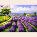 Алмазная вышивка камнями  АЛМАЗНАЯ ЖИВОПИСЬ "Лавандовое поле"