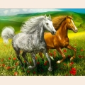 Алмазная вышивка камнями АЛМАЗНАЯ ЖИВОПИСЬ "Кони на лугу"