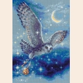 Набор для вышивания нитками РИОЛИС "Волшебная сова"