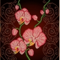 Схема для вышивания бисером БОЖЬЯ КОРОВКА "Орхидея розовая"