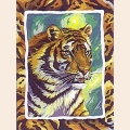 Живопись по номерам Paintboy "Тигр"