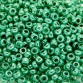 Бисер PRECIOSA 18358 т.зеленый/металлик 5 гр. (№10)