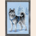 Набор для вышивания нитками РИОЛИС "Хаски" 26х38 см 