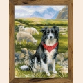 Набор для вышивания нитками РИОЛИС "Бордер-колли" 