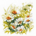 Набор для вышивания нитками РИОЛИС "Крупные ромашки" 