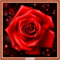 Алмазная вышивка камнями АЛМАЗНАЯ ЖИВОПИСЬ «Сверкающая роза» 