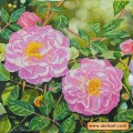 Схема для вышивания бисером АБРИС АРТ "Плетистая роза"