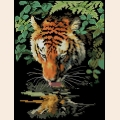 Набор для вышивания нитками DIMENSIONS "Роскошный тигр"
