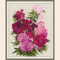 Набор для вышивания нитками РИОЛИС "Турецкая гвоздика"
