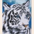 Набор для вышивания бисером BUTTERFLY "Белый тигр" 