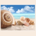 Алмазная вышивка камнями АЛМАЗНАЯ ЖИВОПИСЬ «Ракушки на берегу" 40х30см *