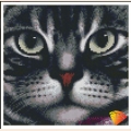 Алмазная вышивка камнями АЛМАЗНАЯ ЖИВОПИСЬ «Мордочка кота" 26х25см 