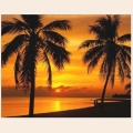 Алмазная вышивка камнями АЛМАЗНАЯ ЖИВОПИСЬ «Пальмы на закате" 50х40см 