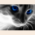 Алмазная вышивка камнями АЛМАЗНАЯ ЖИВОПИСЬ "Кошачий взгляд" 