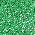 Бисер PRECIOSA 53250 зеленый 500 гр. (№10)