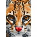 Набор для вышивания крестом Luca-S "Leopardus pardalis"