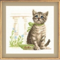 Набор для вышивания нитками РИОЛИС "Мяу!"