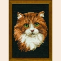 Набор для вышивания нитками РИОЛИС "Рыжий кот"