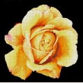 Схема для вышивания бисером А.ТОКАРЕВА "Желтая роза"