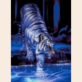 Набор для вышивания бисером А.ТОКАРЕВА "Тигр в воде" Набор для вышивания бисером А.ТОКАРЕВА "Тигр в воде"